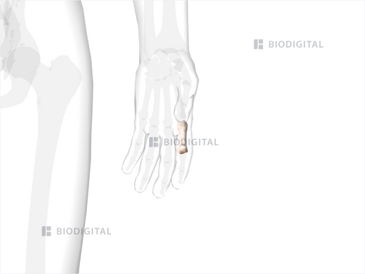 icd 10 code for left index finger proximal phalanx fracture