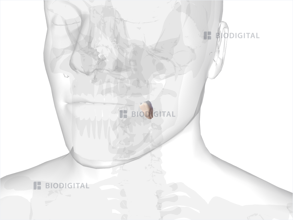 Left mandibular third molar